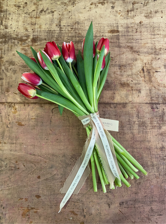 RAMO DE TULIPANES ROJOS