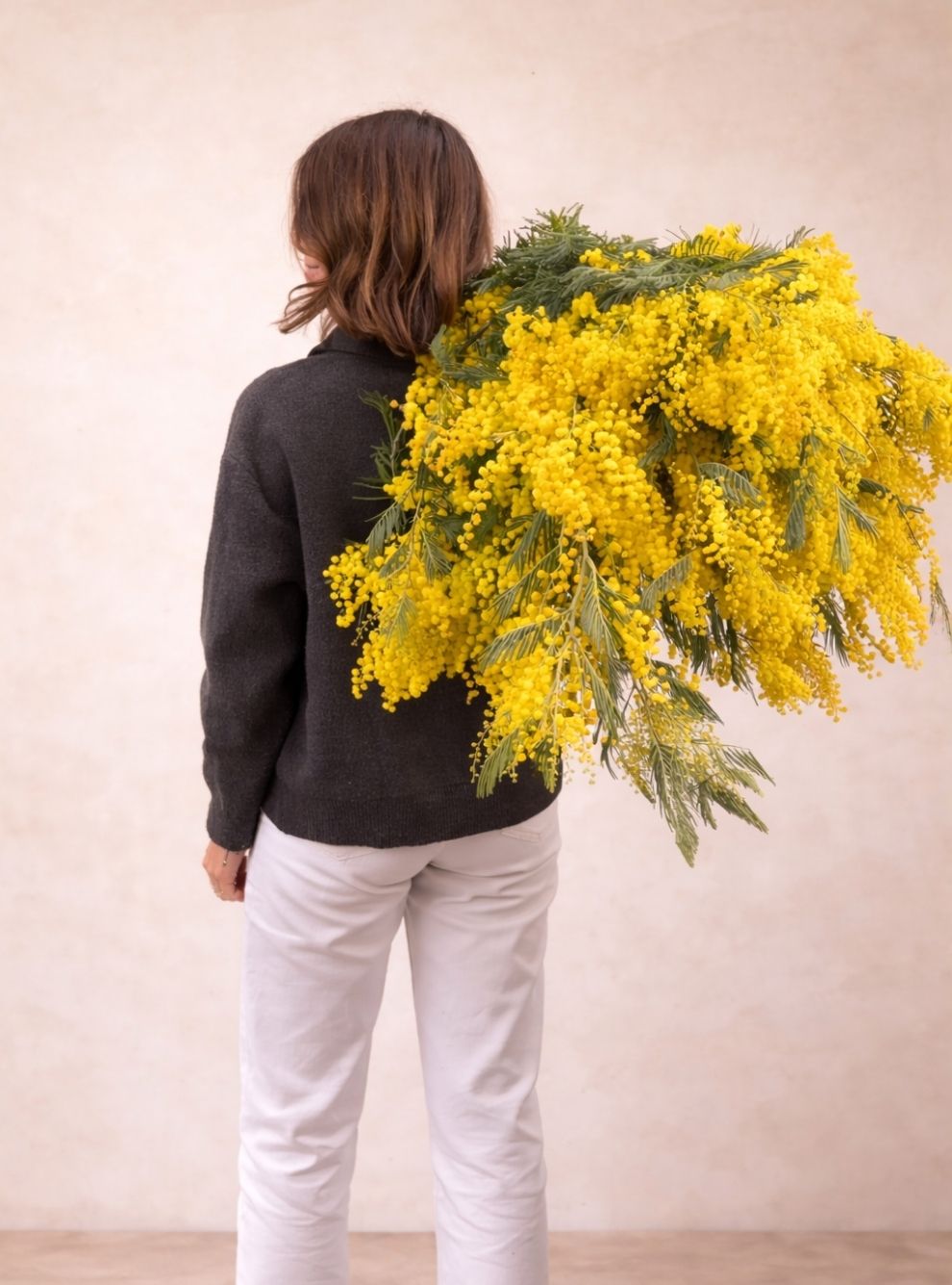 RAMO MIMOSA XL